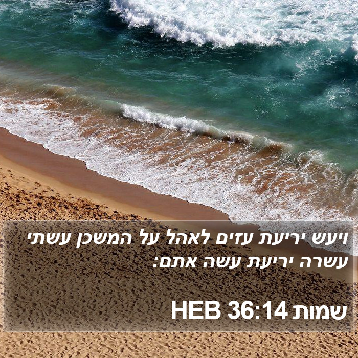 שמות 36:14 HEB Bible Study