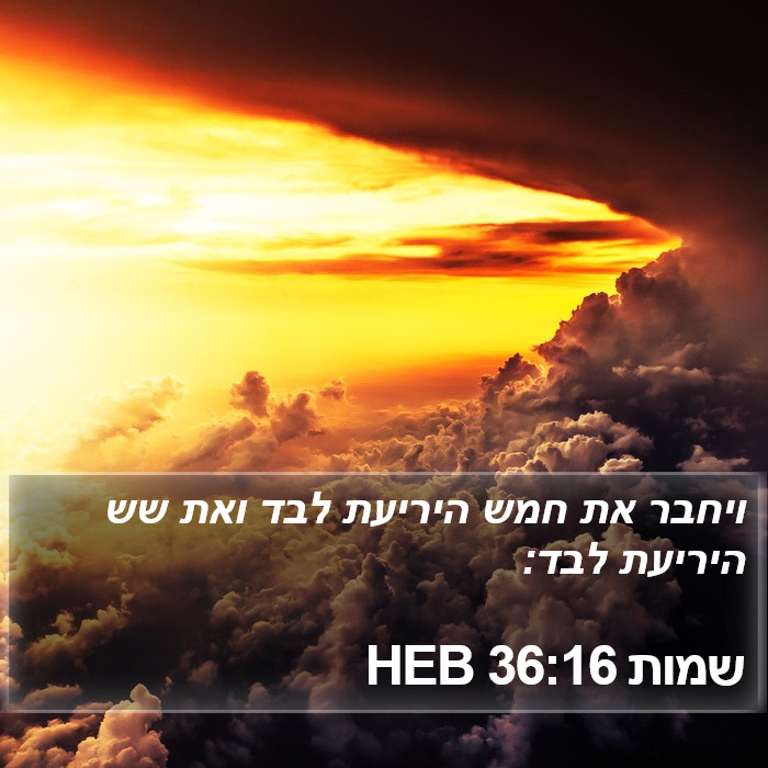 שמות 36:16 HEB Bible Study