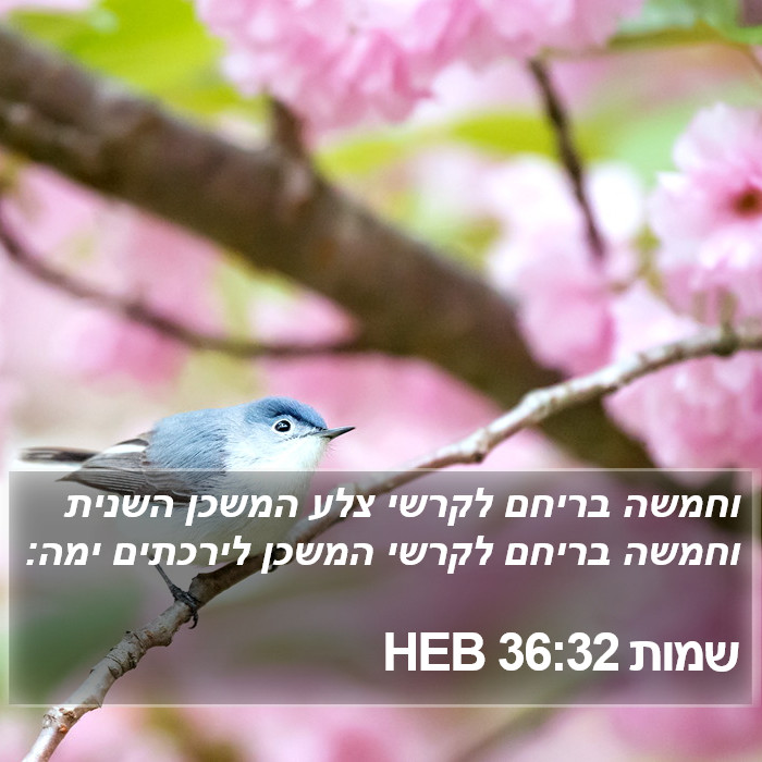 שמות 36:32 HEB Bible Study