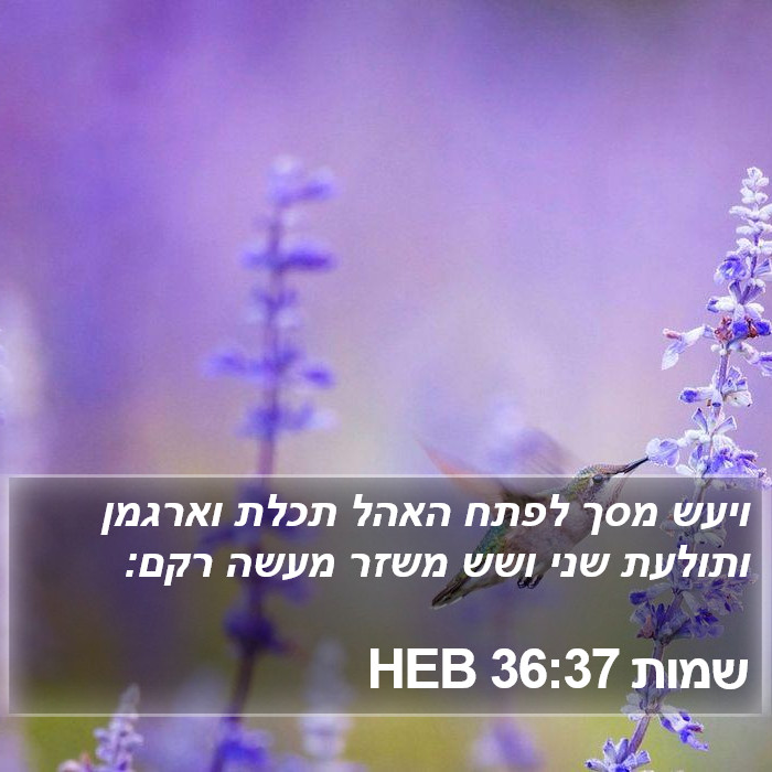 שמות 36:37 HEB Bible Study