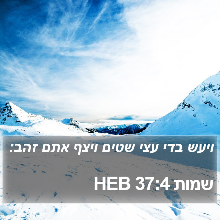 שמות 37:4 HEB Bible Study