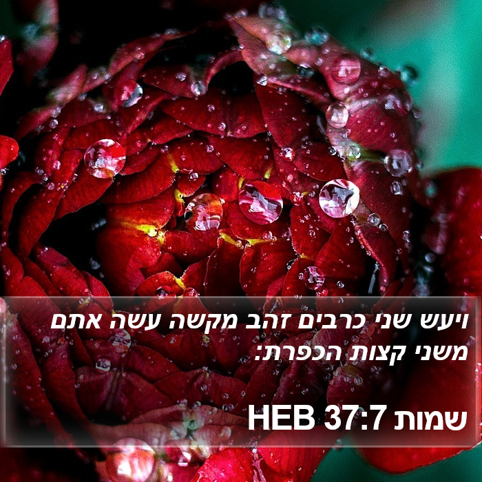 שמות 37:7 HEB Bible Study