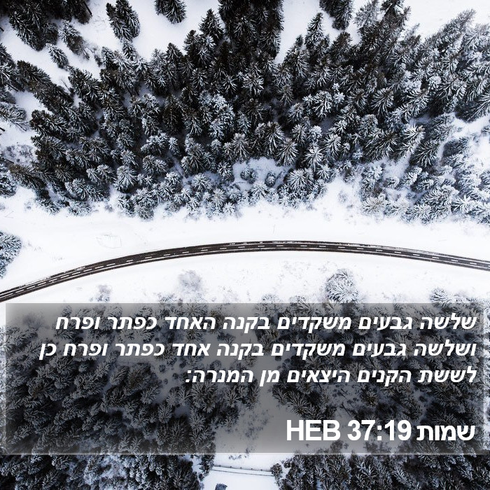 שמות 37:19 HEB Bible Study