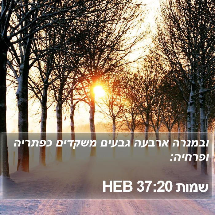 שמות 37:20 HEB Bible Study