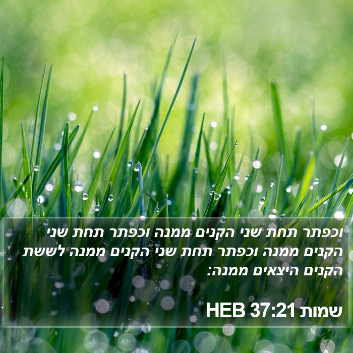 שמות 37:21 HEB Bible Study