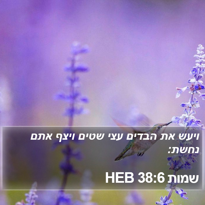 שמות 38:6 HEB Bible Study