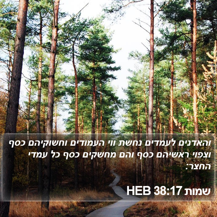 שמות 38:17 HEB Bible Study