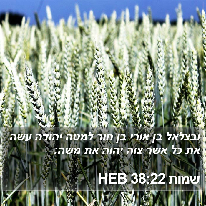 שמות 38:22 HEB Bible Study