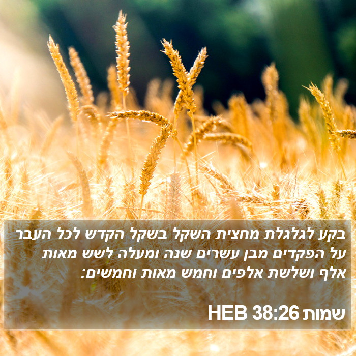 שמות 38:26 HEB Bible Study