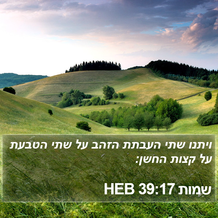 שמות 39:17 HEB Bible Study