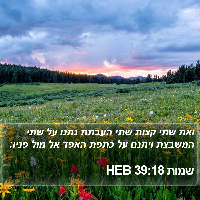 שמות 39:18 HEB Bible Study