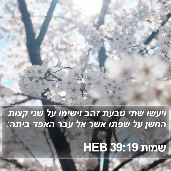 שמות 39:19 HEB Bible Study