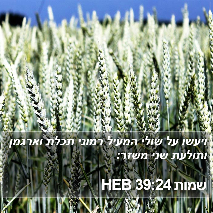 שמות 39:24 HEB Bible Study