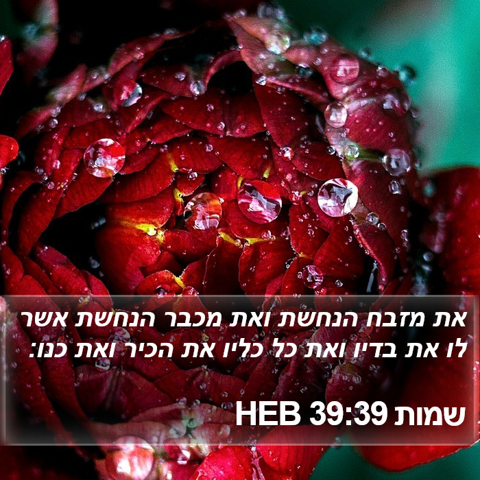 שמות 39:39 HEB Bible Study