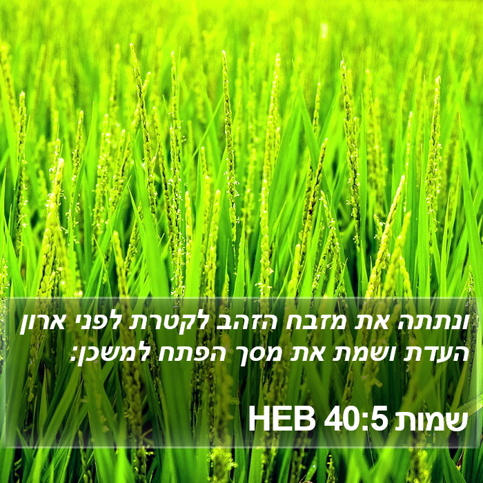 שמות 40:5 HEB Bible Study