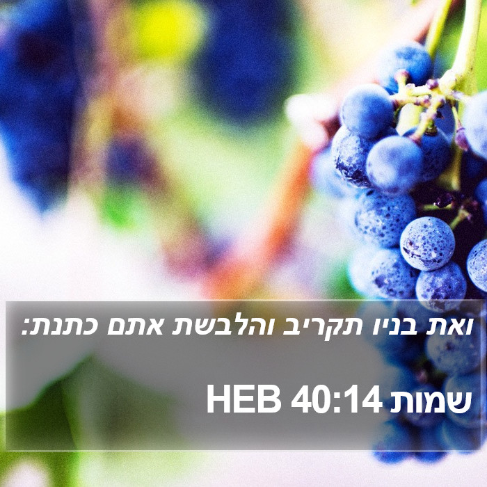 שמות 40:14 HEB Bible Study