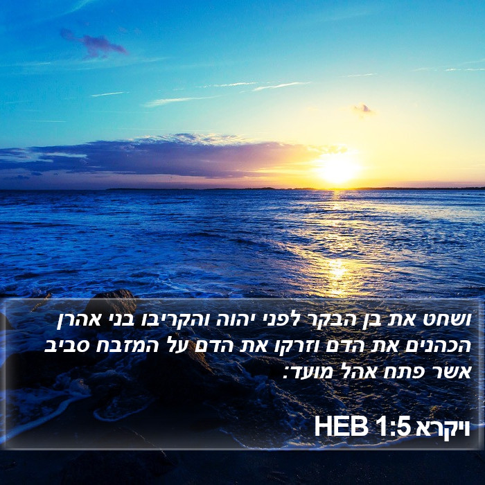 ויקרא 1:5 HEB Bible Study