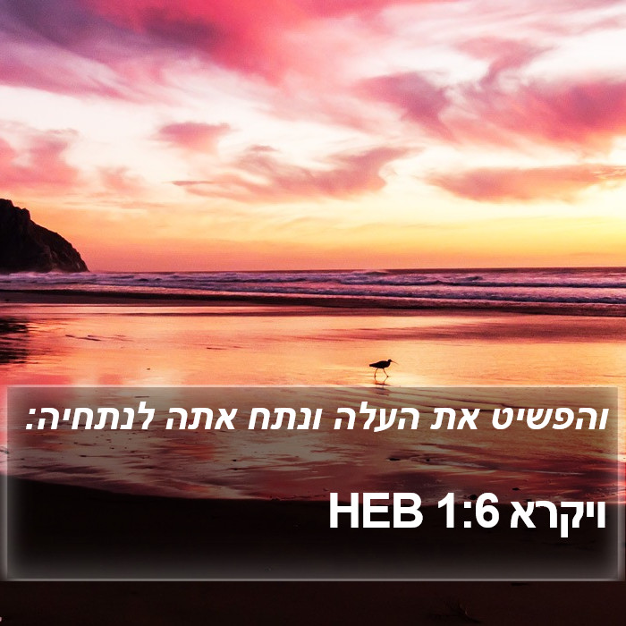 ויקרא 1:6 HEB Bible Study