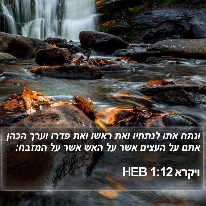 ויקרא 1:12 HEB Bible Study