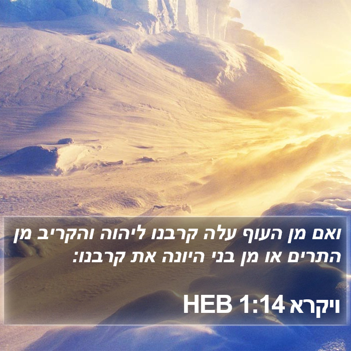 ויקרא 1:14 HEB Bible Study