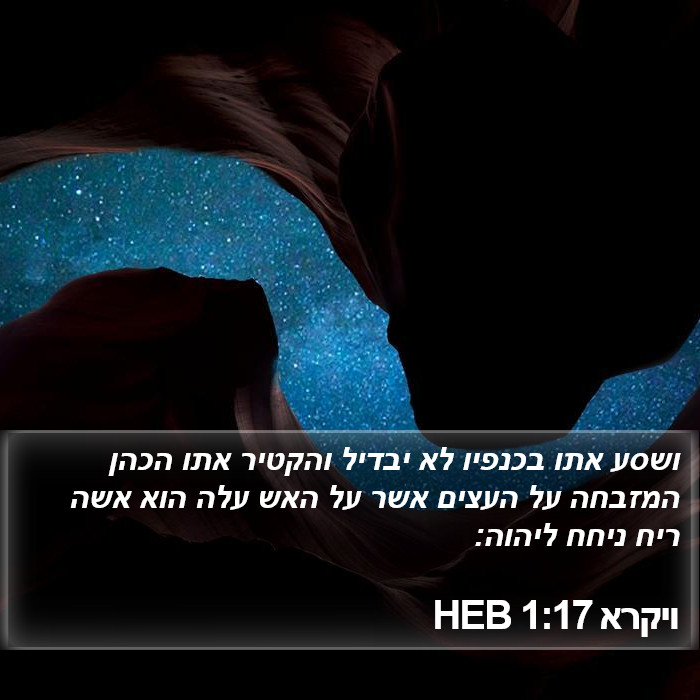 ויקרא 1:17 HEB Bible Study