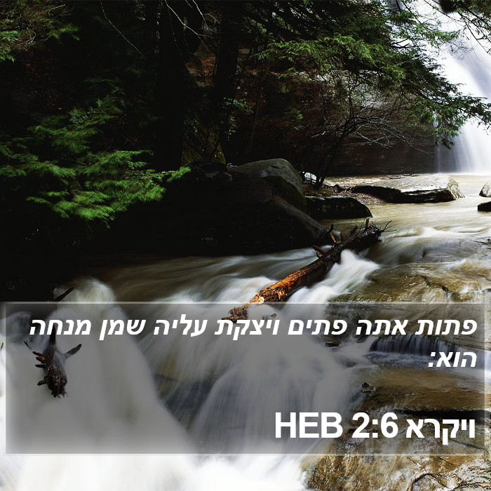 ויקרא 2:6 HEB Bible Study