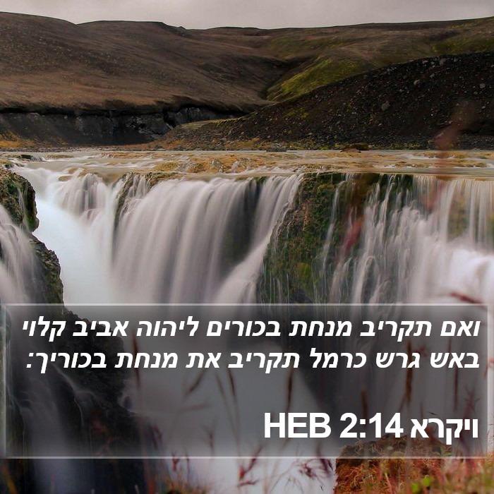 ויקרא 2:14 HEB Bible Study