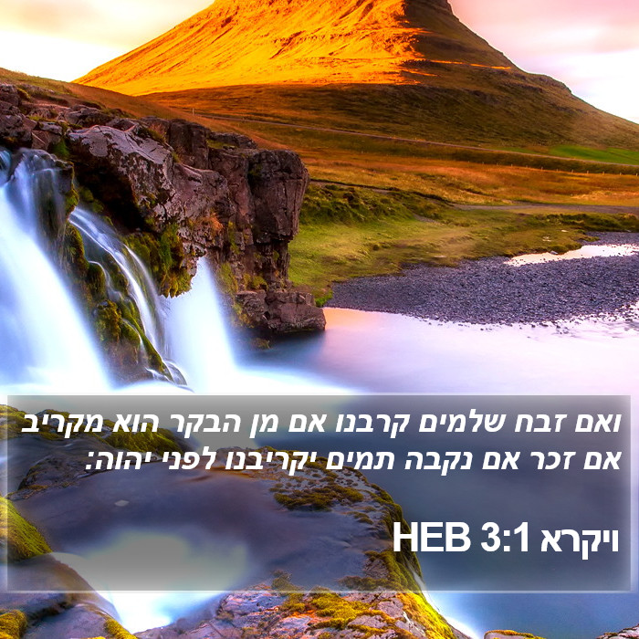 ויקרא 3:1 HEB Bible Study