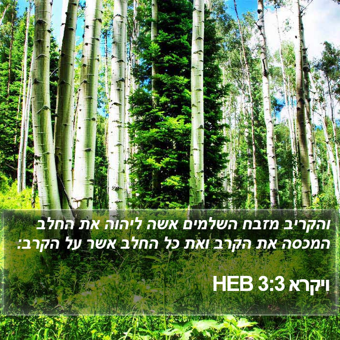 ויקרא 3:3 HEB Bible Study