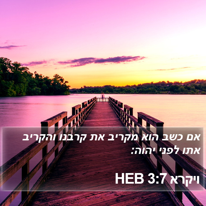 ויקרא 3:7 HEB Bible Study