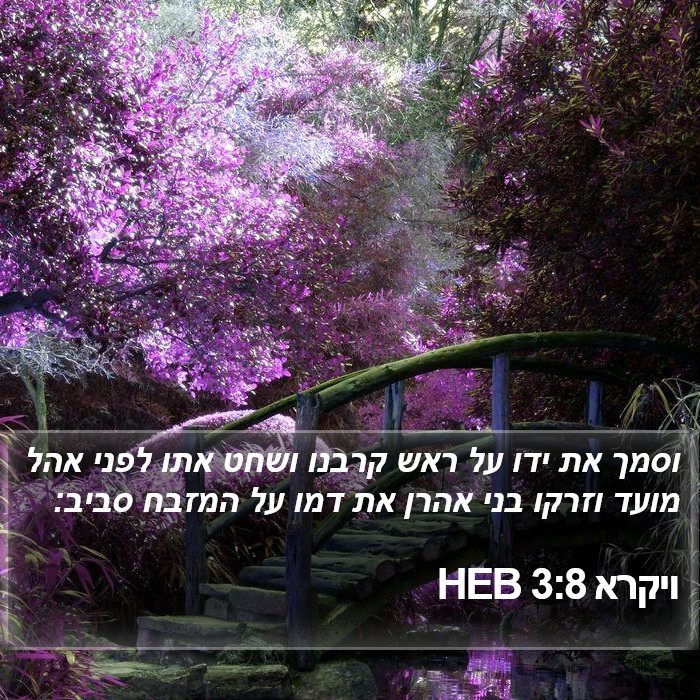 ויקרא 3:8 HEB Bible Study