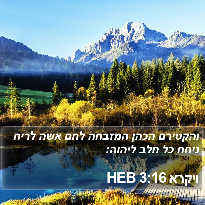 ויקרא 3:16 HEB Bible Study