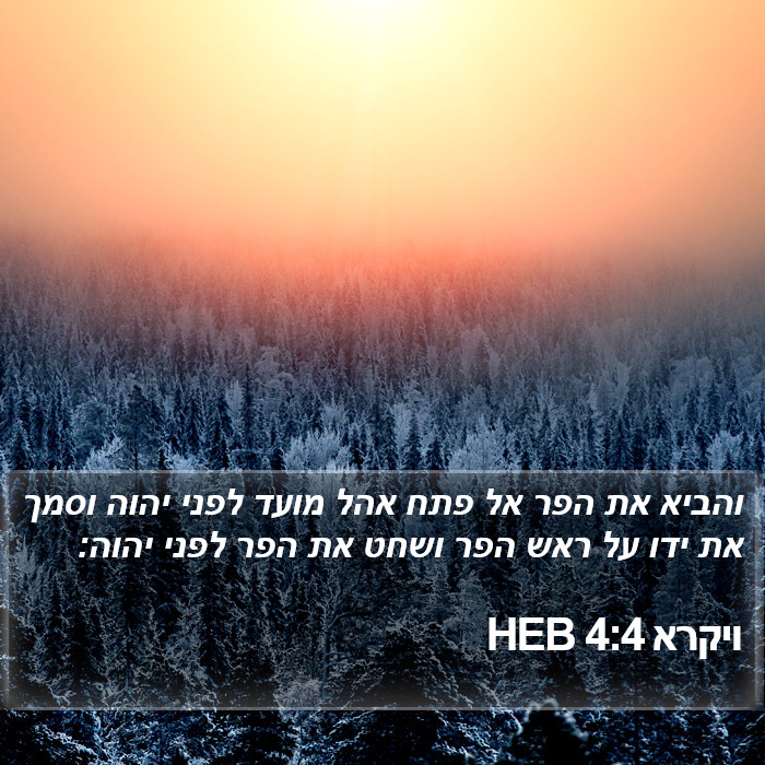 ויקרא 4:4 HEB Bible Study