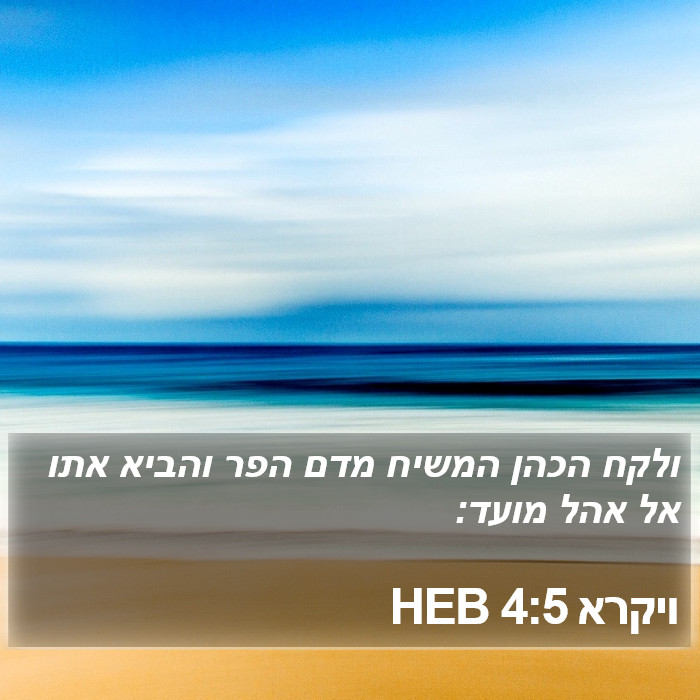 ויקרא 4:5 HEB Bible Study