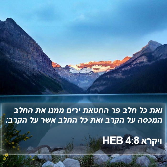 ויקרא 4:8 HEB Bible Study