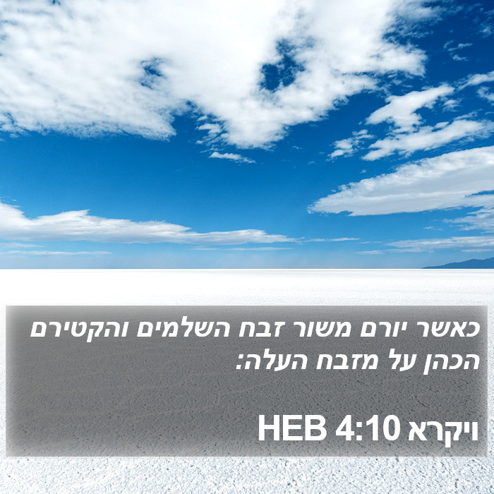 ויקרא 4:10 HEB Bible Study