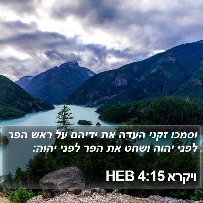 ויקרא 4:15 HEB Bible Study