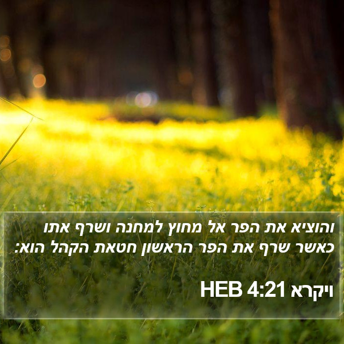 ויקרא 4:21 HEB Bible Study