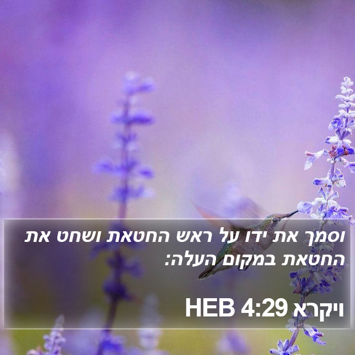 ויקרא 4:29 HEB Bible Study