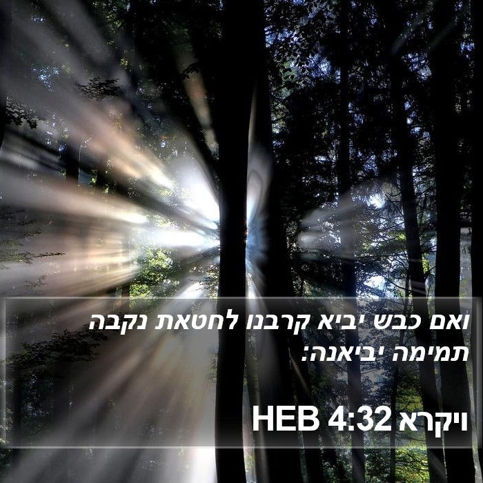 ויקרא 4:32 HEB Bible Study