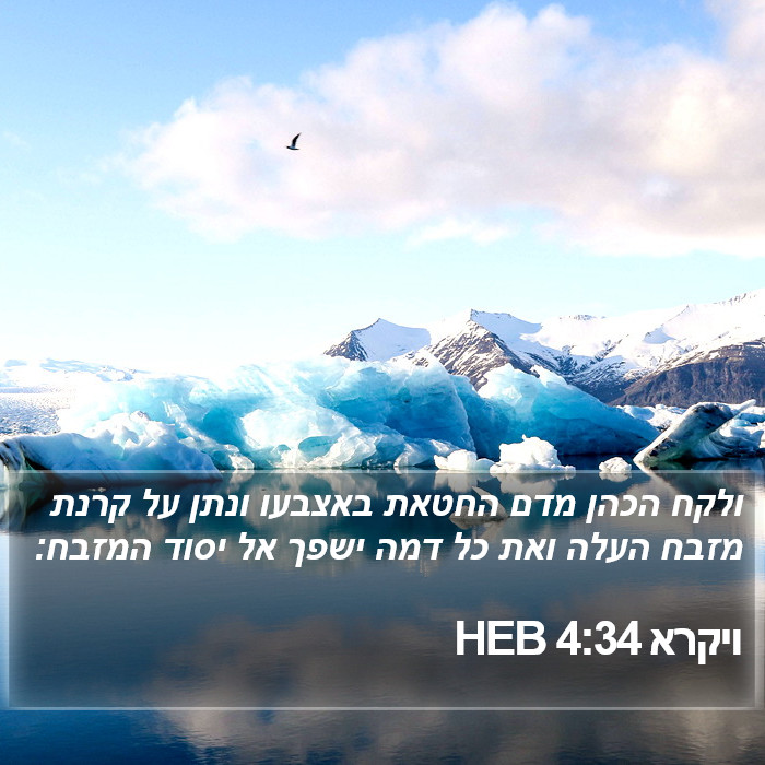 ויקרא 4:34 HEB Bible Study