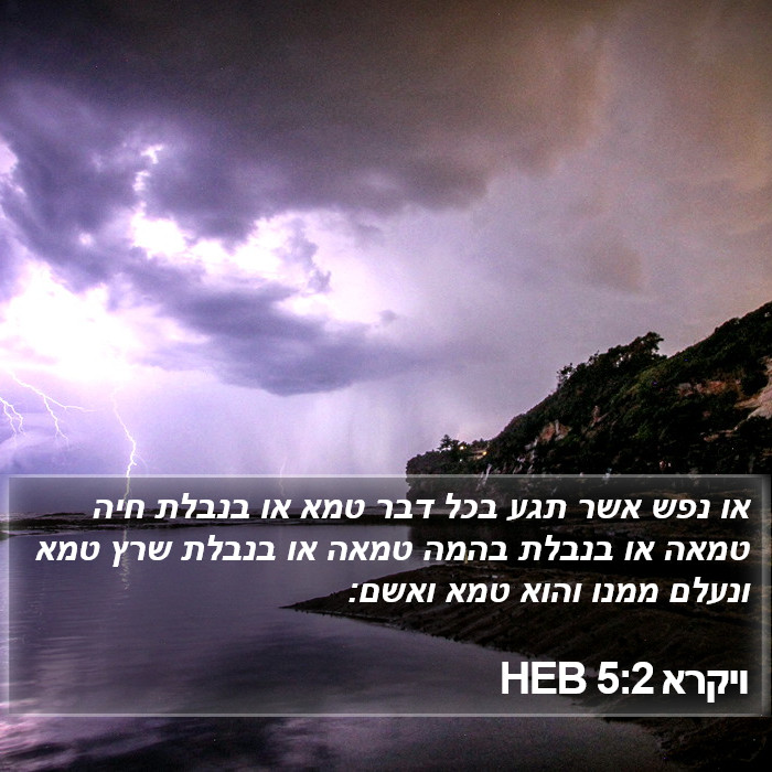 ויקרא 5:2 HEB Bible Study