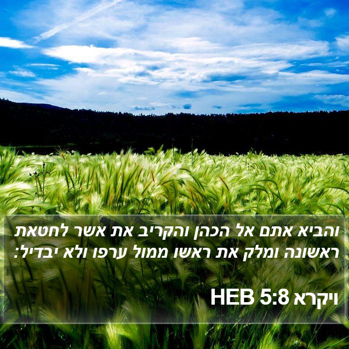 ויקרא 5:8 HEB Bible Study