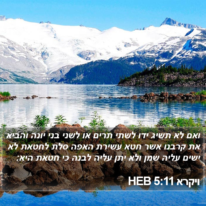 ויקרא 5:11 HEB Bible Study