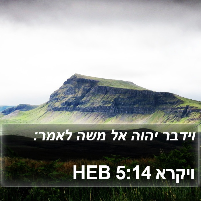 ויקרא 5:14 HEB Bible Study