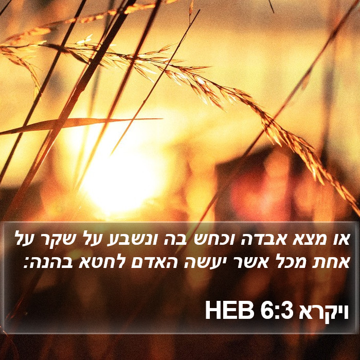 ויקרא 6:3 HEB Bible Study