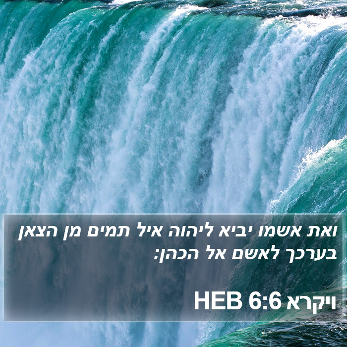 ויקרא 6:6 HEB Bible Study