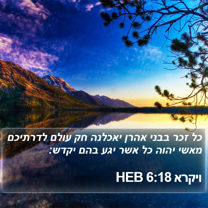 ויקרא 6:18 HEB Bible Study