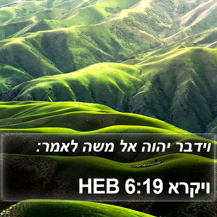 ויקרא 6:19 HEB Bible Study