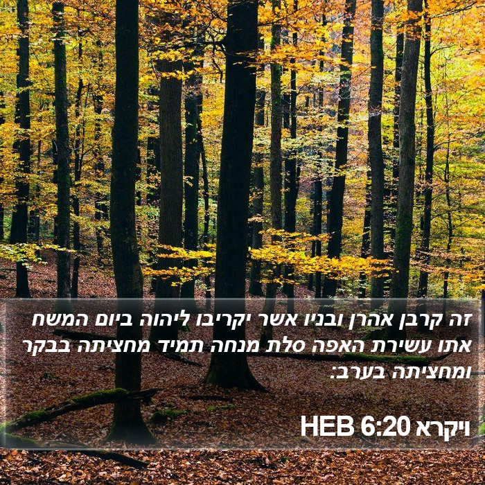 ויקרא 6:20 HEB Bible Study